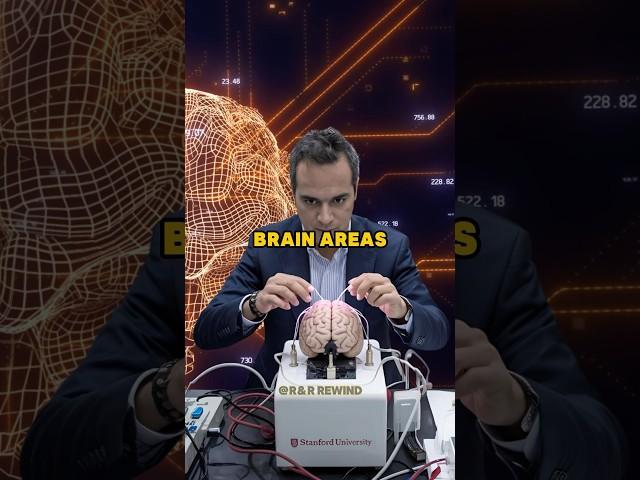 How to grow your brain to live longer #joerogan
