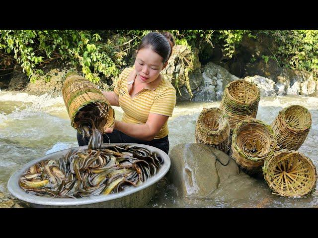 How to weave Bamboo baskets to catch Fish, Make colorful sticky rice, How to grow green beans.