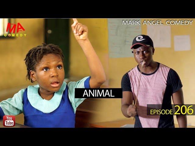 Animal (Mark Angel Comedy) (Episode 206)