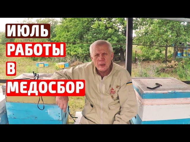 Медосбор. Что делаем во время главного медосбора.