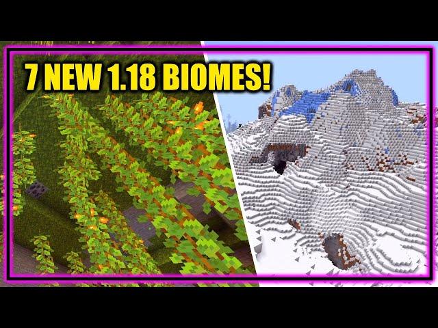 All 7 Amazing New Biomes! | Minecraft 1.18 Caves and Cliffs Part 2 Snapshot