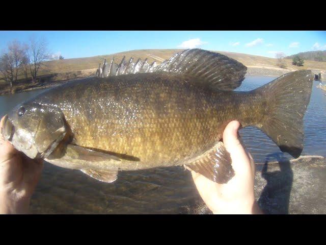 Gill Tickler #7 - Spillway Jig Fishing for Hefty Smallmouth Bass