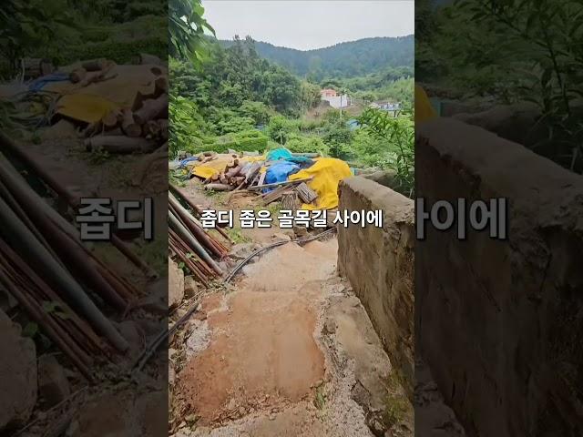 #지세포성 #거제여행 #남파랑길 #좋은사람 #여행그리기토토 #동행 #함께 #맛집 #소노캄 #바다풍경 #마을길 #골목길 #국내여행