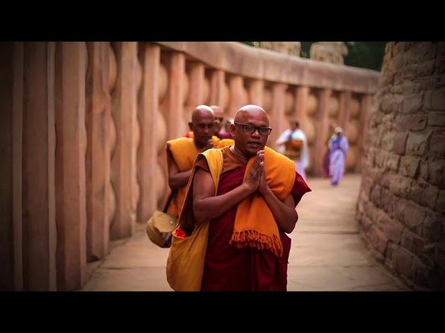Message of Peace | Jill Carr-Harris | Jai Jagat 2020