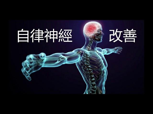 奇跡之音樂 - 改善自律神經 睡眠好音樂