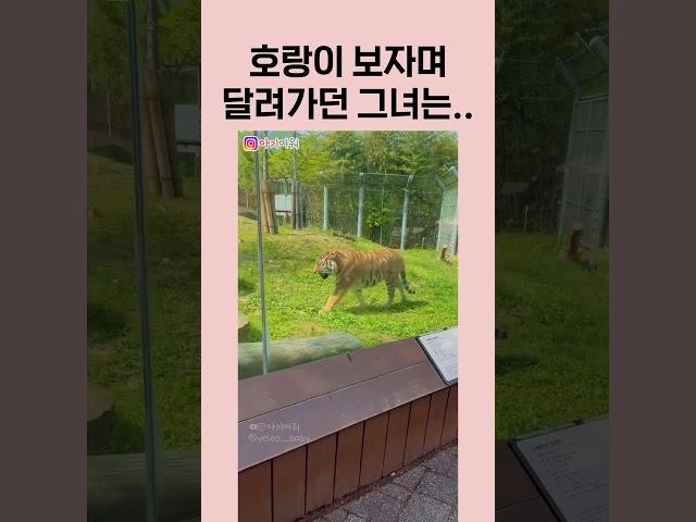 호랑이 실물을 처음 본 아이