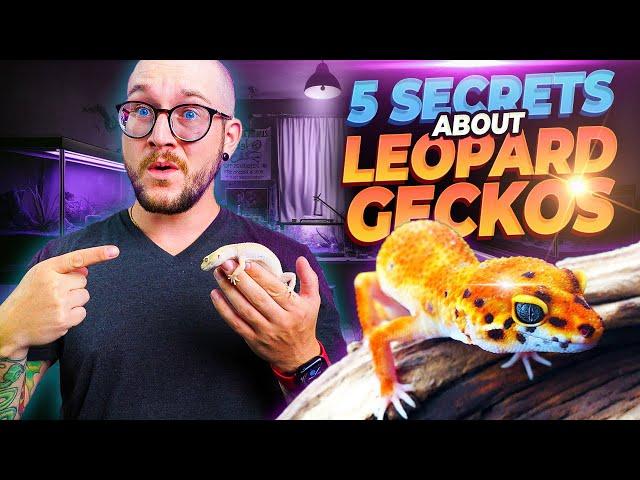 5 Things They NEVER TELL YOU About Getting A Leopard Gecko! | MUST WATCH THIS FIRST!