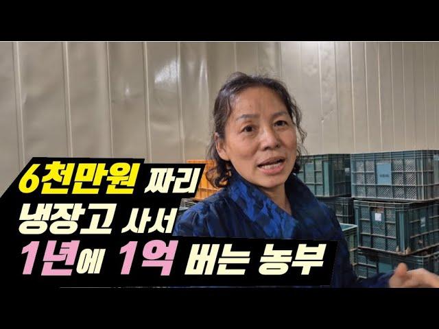 [한국농업기술TV 열대둥근마 재배 A~Z] EP 5,  6천만 원 짜리 냉장고로 1년에 1억 버는 농부, 열대둥근마 보관방법, 큐어링하는 방법,