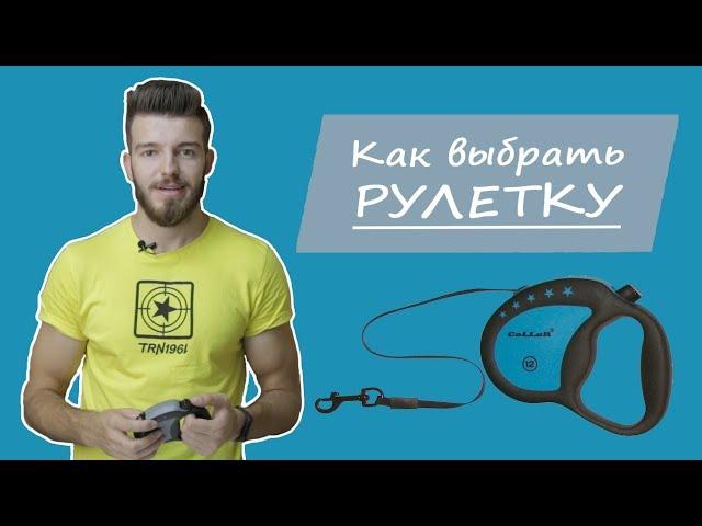 Как подобрать поводок для собаки? Выбор рулетки для собаки