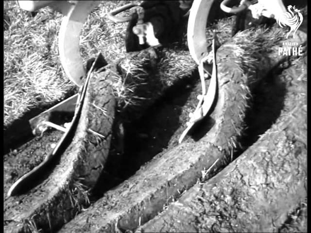 World Ploughing Competition (1962)