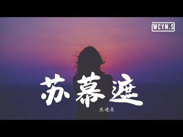 张晓棠 - 苏幕遮【動態歌詞/Lyrics Video】