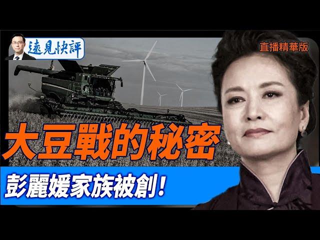 大豆戰的秘密，彭麗媛家族被創！【每日直播精華】遠見快評｜2025.04.29