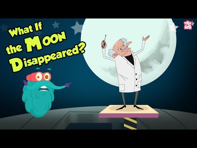 What If The MOON Disappeared? | Space Video | Dr Binocs Show | Peekaboo Kidz