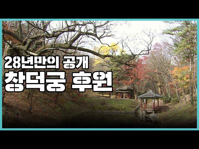 최초공개! 비밀의 문이 열린다. 28년만의 공개, 창덕궁 후원 속 숨겨진 생명들 I KBS 2005.01.01 방송