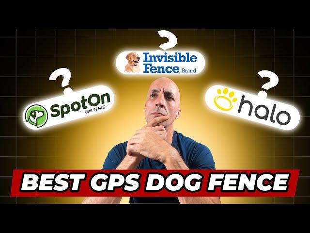 Best GPS Dog Fence: Don’t Waste Your Money on the Wrong One!