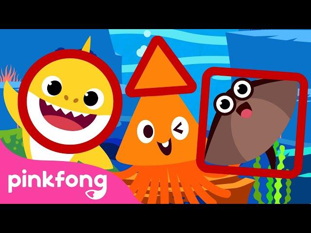 Learn Shapes with Squid & Baby Shark ◾️ |+Compilation | Pinkfong Shape Songs for Children