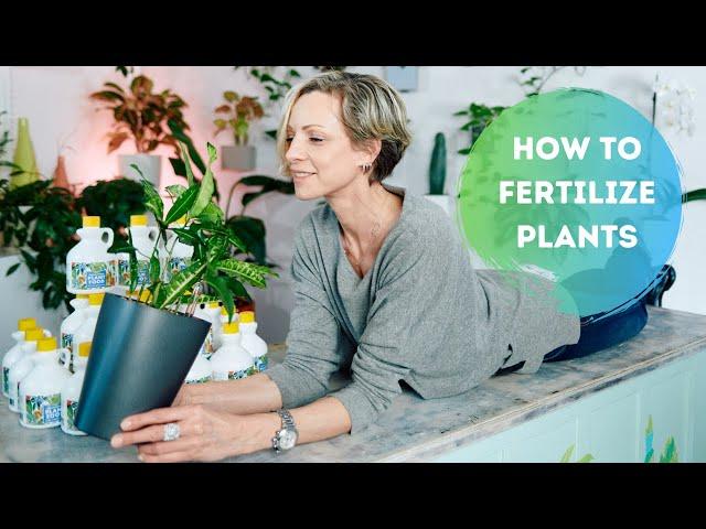 When & How To Fertilize Plants    Plant Food I Use & Recommend