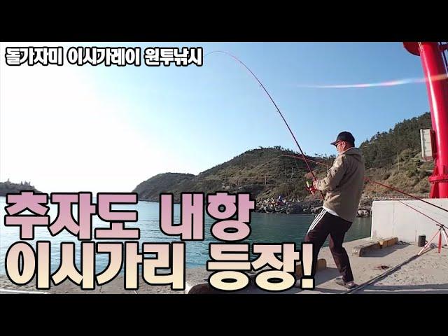 추자도 내항! 돌가자미(이시가리) 원투! [캠낚세끼] / 추자도 낚시n캠핑 / caravan / camping car / Fishing / 캠핑카