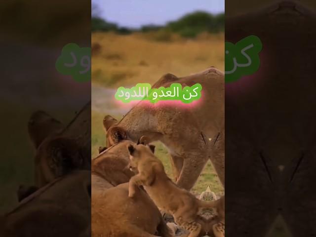الخيانة ليست من شيم الرجال. #حكم #اكسبلور #خواطر#fyp  #اقتباسات #viral #motivation #shorts
