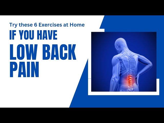 Low Back Pain Exercises |Best Exercises for Low Back pain |@DrAimanUbaid