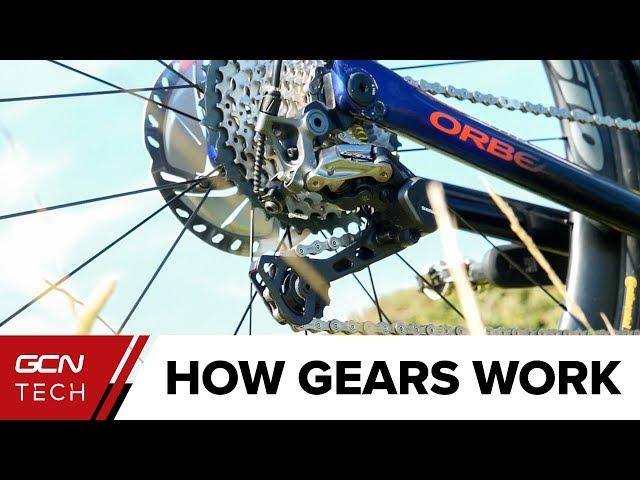 How Do Bike Gears Work? | Bicycle Gears Explained