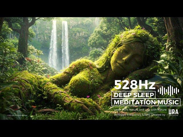 Where the Forest Sings: 528Hz Healing Music for Peaceful Sleep & Spiritual Harmony NatureLovers URA