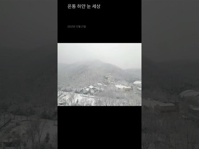 20221221(수) [#온통 #하얀 #눈 #세상 ] #인천 #서구  #국제성모병원  11F 8F 그리고 #로비 #창밖 #풍경 #설국 the treetops glisten