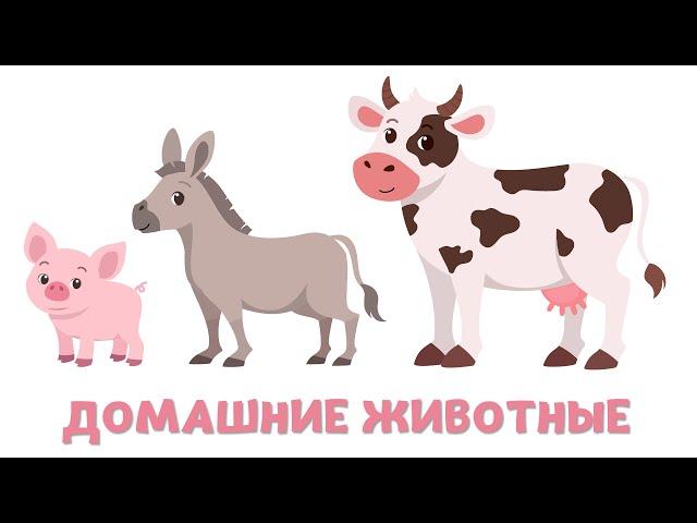 Домашние животные Карточки Домана для малышей