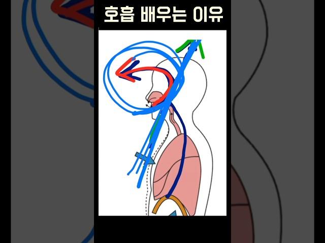 노래할 때 무조건 사용해야하는 호흡