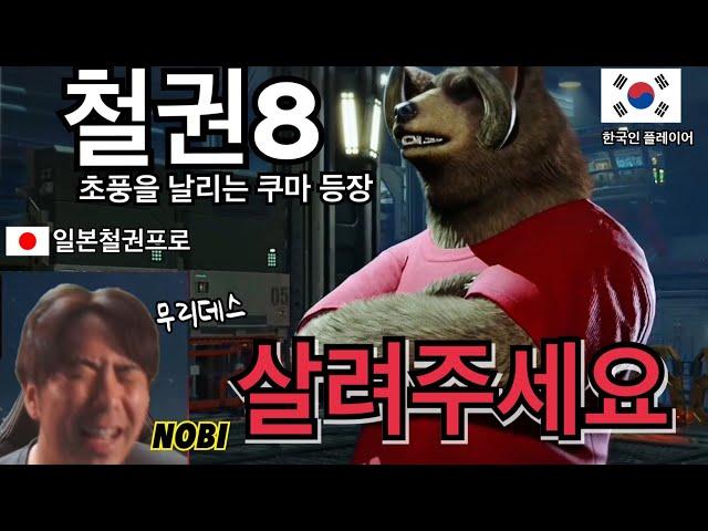 [철권한일전] 세계 최강의 철권8 쿠마 플레이어를 만났습니다. 철권 노비 vs 쿠마　鉄拳ノビ　鉄拳８