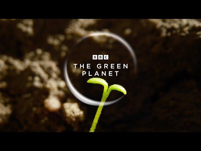 The Green Planet | Official Trailer | New Attenborough Series | BBC Earth