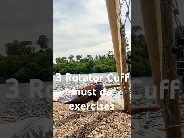  3 Must-Do Rotator Cuff Exercises for #bjj Athletes 