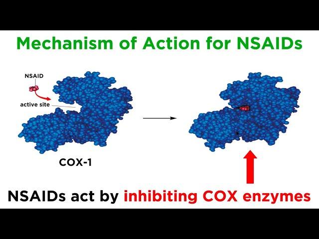 Introduction to Nonsteroidal Anti-Inflammatory Drugs (NSAIDs)