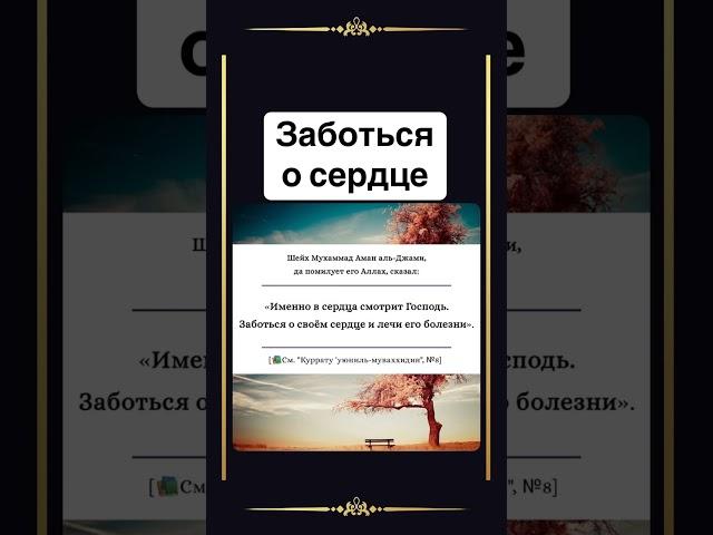 Заботься о сердце