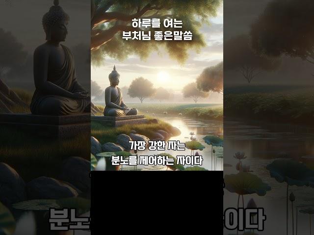 ‍️마음 챙김과 명상을 위한 부처님의 말씀  #마음챙김 #명상 #좋은말씀 #명언 #부처핸접