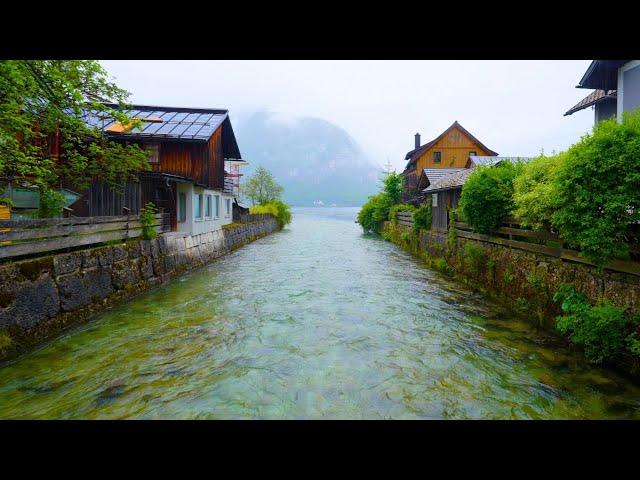 استرخاء وتأمل مع أجمل مناظر الطبيعة وأصواتها الهادئة | The Most Beautiful Natural Scenery