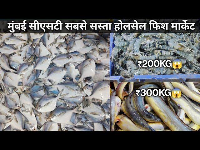 Biggest Cst Wholesale Fish Market | Cst Fish Market | Wholesale Fish Market In Mumbai 2023