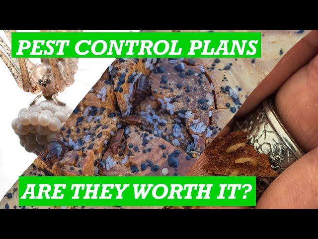 Termite Warranty - Monthly - Bimonthly - Quarterly pest control - What do you need?