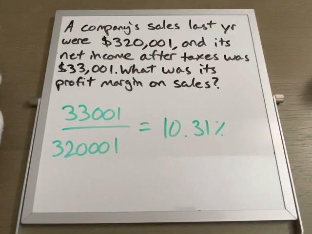 Computing Profit Margin on Sales with Net Income After Taxes