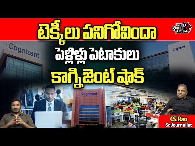 Cognizant Big Shock To Software | Cognizant Hiring At 2.5 LPA | Cognizant Salary Hike | Wild Wolf