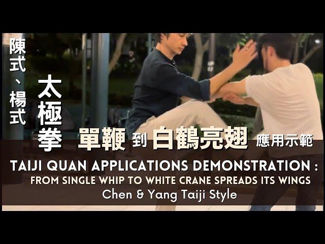 陳式、楊式太極拳單鞭-白鶴亮翅應用示範Chen & Yang Taiji Applications: From Single Whip to White Crane Spreads its Wings