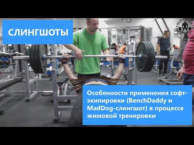 Особенности применения софт-экипировки (БенчДэдди и MadDog-слингшот) в процессе жимовой тренировки