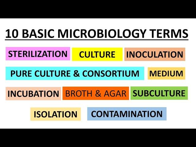 Basic Terms used in Microbiology | Class for Microbiology Freshers | Concepts in Microbiology |