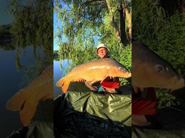 #fishing #рыбалканаозере #carpfishing #рыбалканафидер #carp