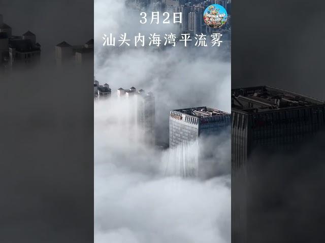 汕頭平流霧 | 迷霧中的潮汕城市景觀 | Shantou Advection Fog: The Enchanting Cityscape in the Mist