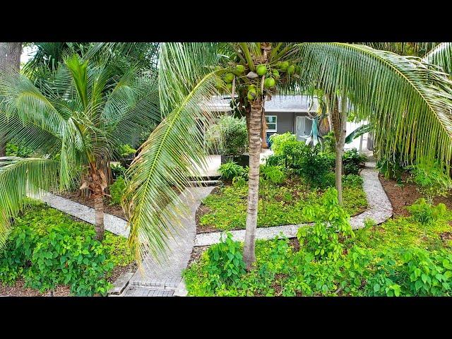 Ultra-Tropical ECO-Landscape Transformation (9 Month Follow-Up in St. Pete)