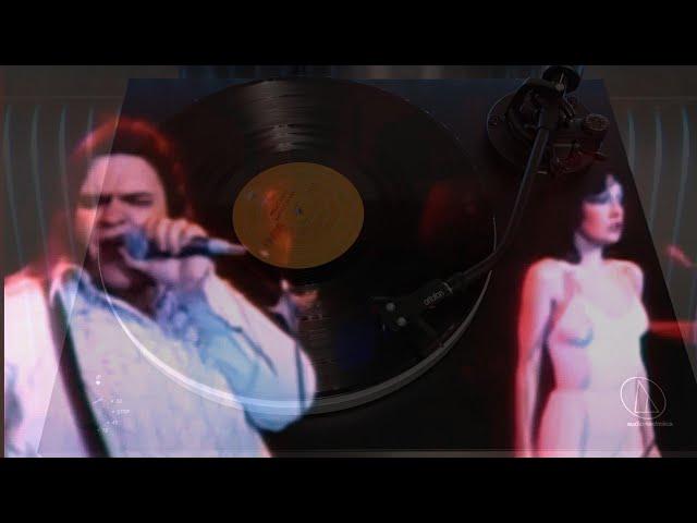 Meatloaf's Paradise by the Dashboard Lights on Vinyl!