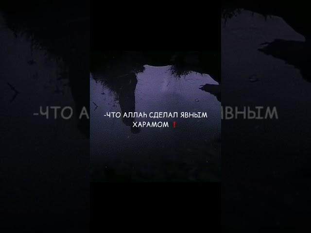 Воистину, Всевышний Аллах любит верующих рабов, #каран #сура #ислам #islamsura