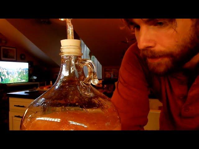 How to Make Dandelion Wine and Maple Mead (Acerglyn)