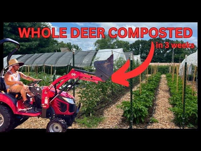 NO TILL MARKET GARDEN COMPOSTING OPERATION!